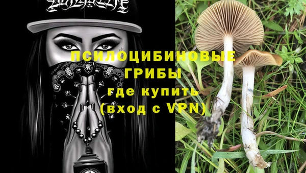 эйфоретик Алексеевка