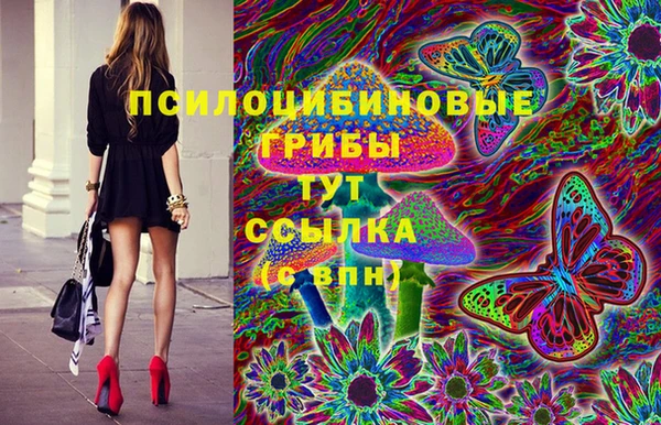 a pvp Алзамай