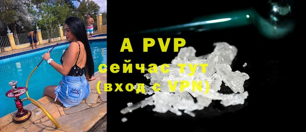 a pvp Алзамай