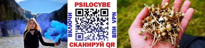 Галлюциногенные грибы MAGIC MUSHROOMS Искитим